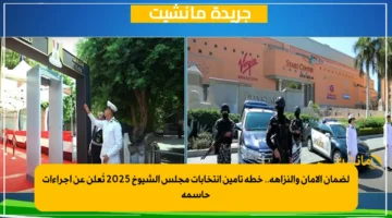 لضمان الأمان والنزاهة.. خطة تأمين انتخابات مجلس الشيوخ 2025 تُعلن عن إجراءات حاسمة 1